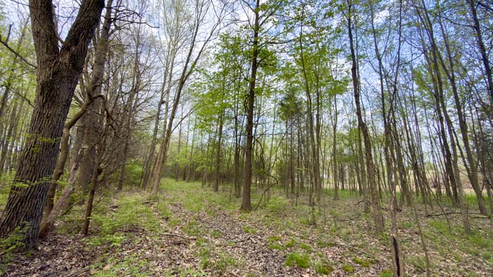 5.22 acres Clermont County Ohio land