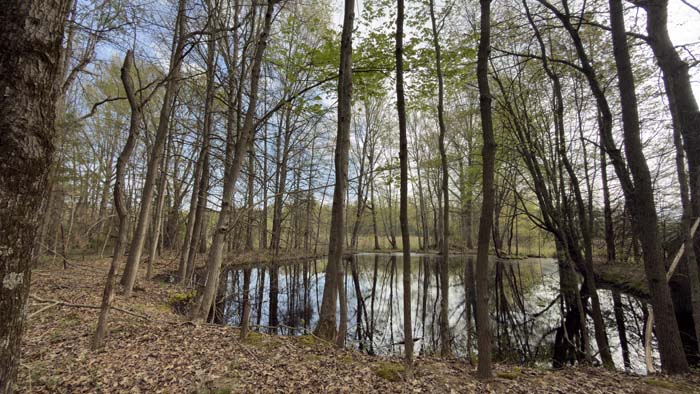 Private rural lot Franklin Township