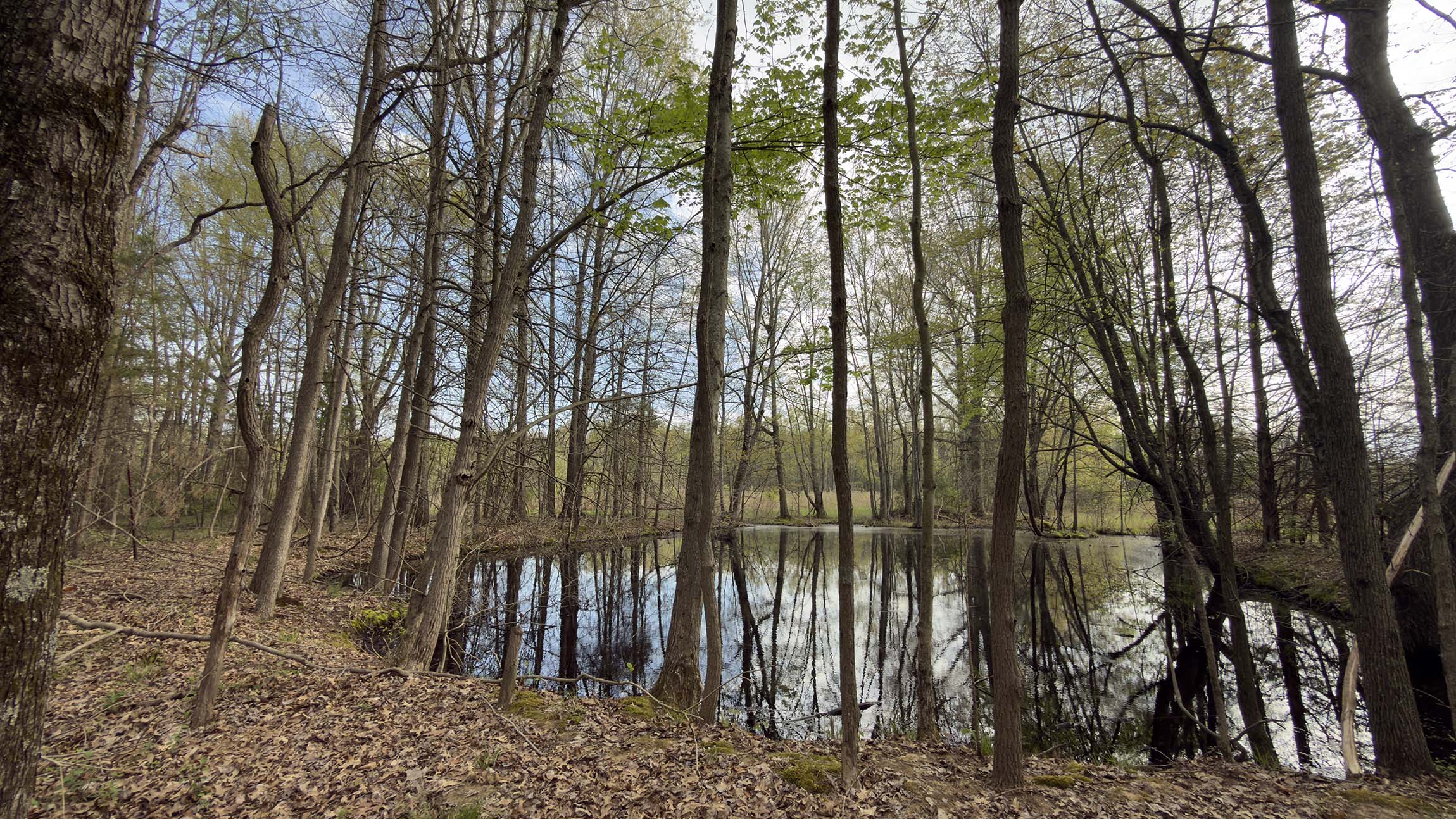 0 Henson Road – 5.22 acres for sale in Clermont County, Ohio