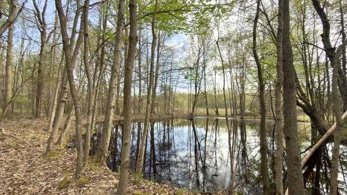 5.22+/- Acre, Bethel, Ohio, 45106