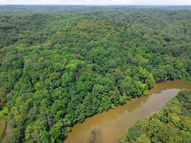 Mature hardwoods and runoff draws
