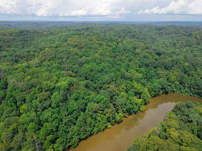 Hilltop view to creek bottom