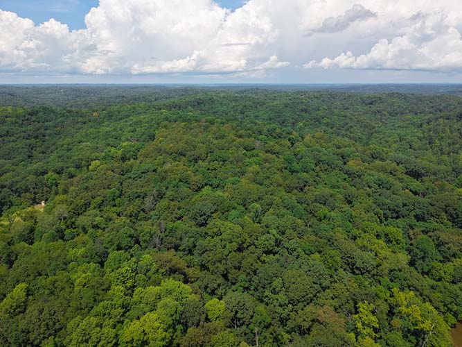 Natural wildlife corridor