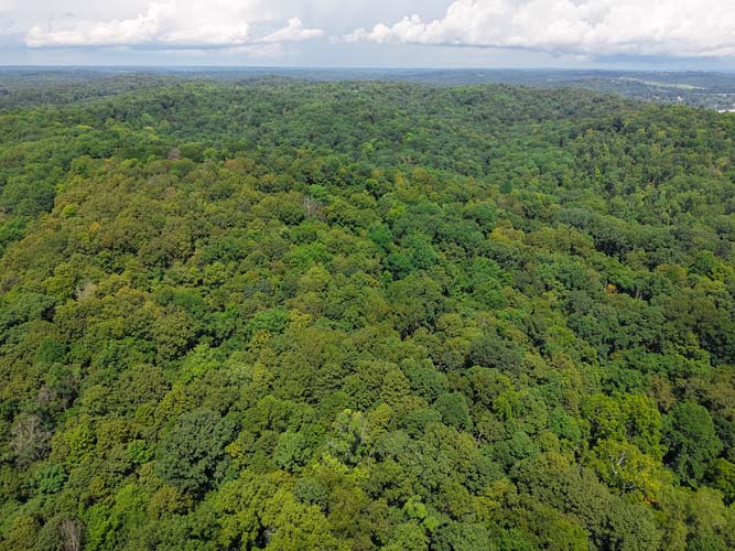 Hunting ground near State Forest
