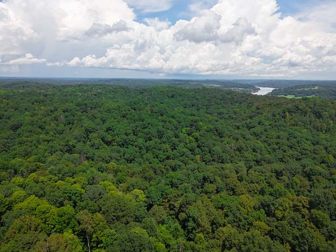 Forested slope with flats