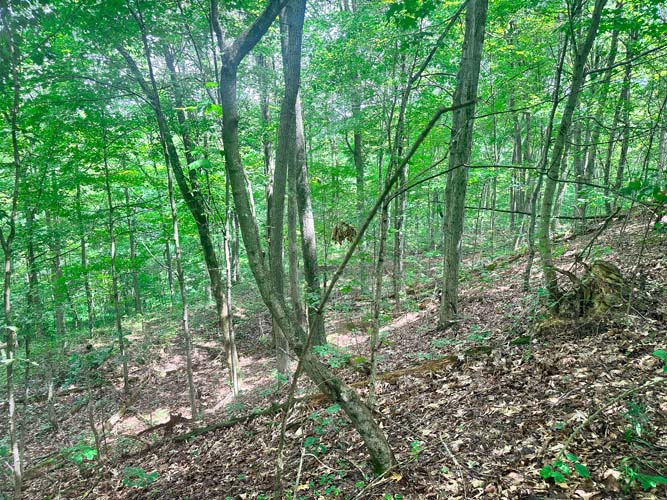 Natural spring drainage