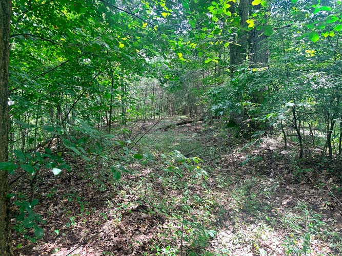 No electric or water at road