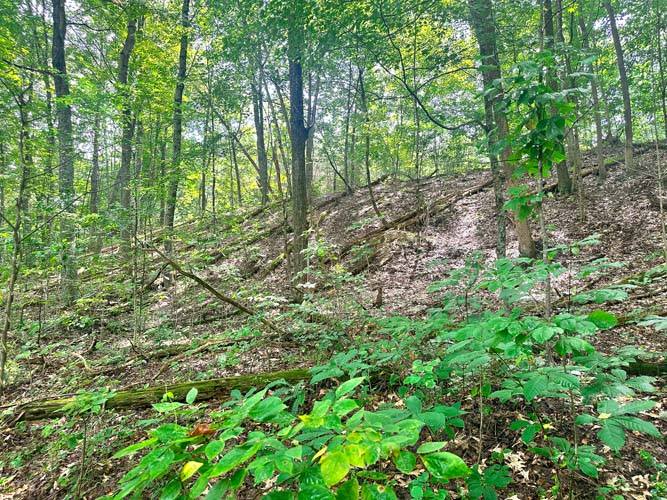 Access from one-lane gravel road