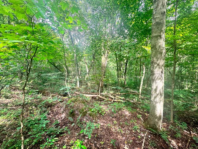 Valley shelf for food plot