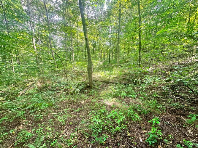 Off-grid hunting camp site