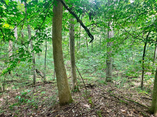 Southwest of Hockingport