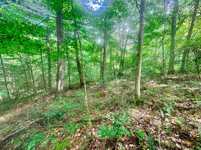 Drainage area with natural funnel