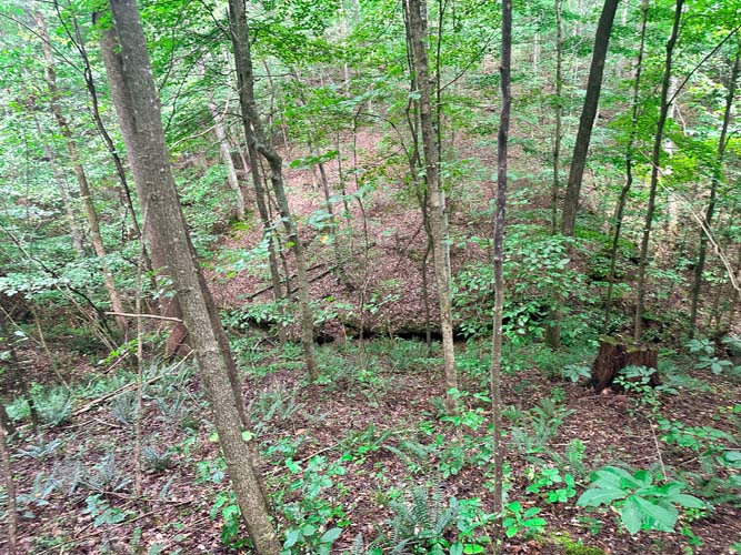 Steep ridge with clearings