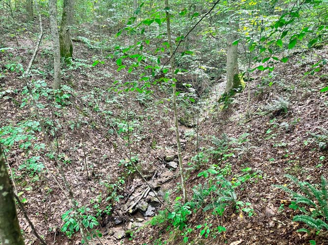 Peaceful wooded flat