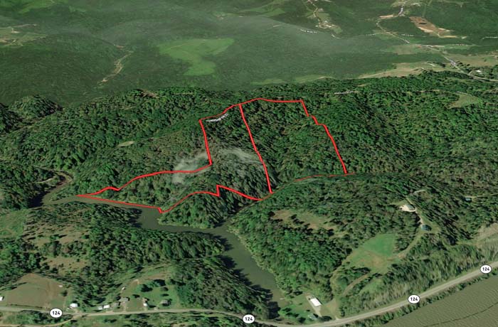 Heavily wooded hunting parcel