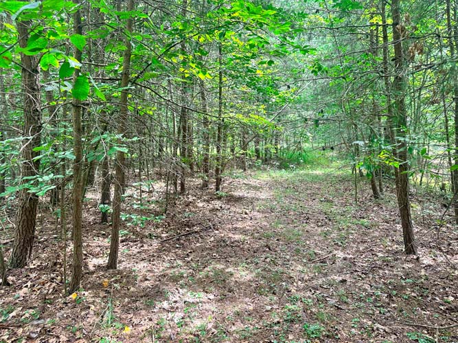 Year-round creek frontage