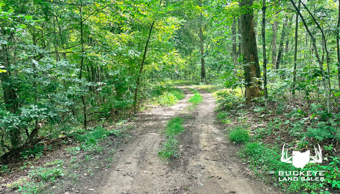 30.496+/- Acres, Reedsville, Ohio, 45772