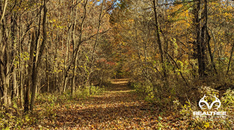 0 Jacksontown Road 20.756 Acres