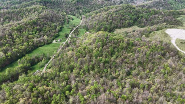Ridge top clearing for potential cabin site
