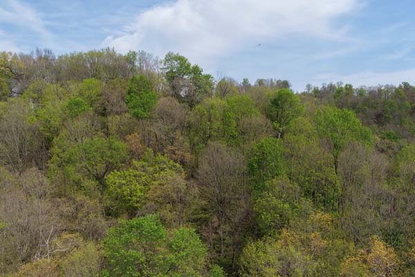 Ridgetop view over wooded hunting land