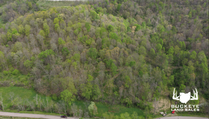 40 Acres, Sardis, Ohio 43946