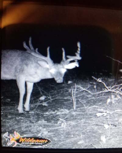 King Chapel Road Ohio property with efficient hunting layout