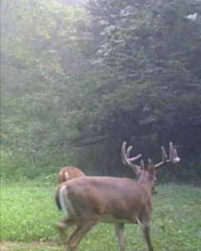 Ohio hunting land with natural deer travel corridors