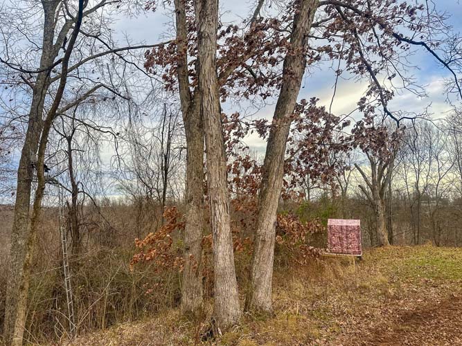 King Chapel Road Ohio property with intentional land management