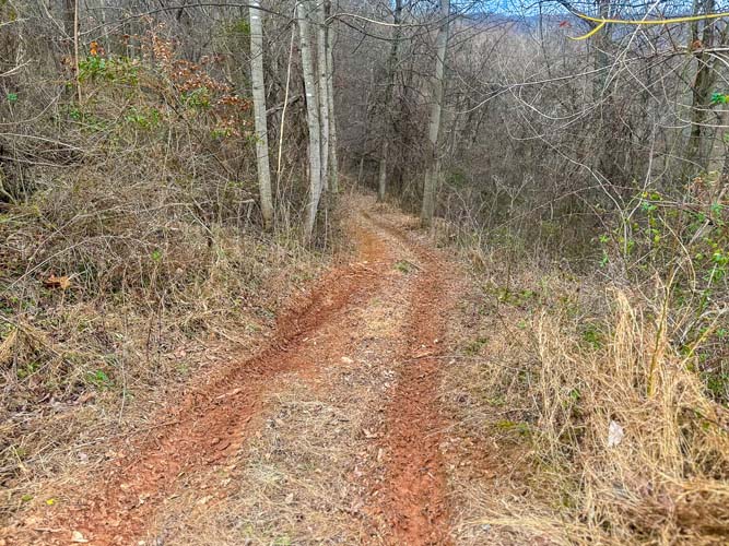 King Chapel Road Ohio property perfect for serious whitetail hunters