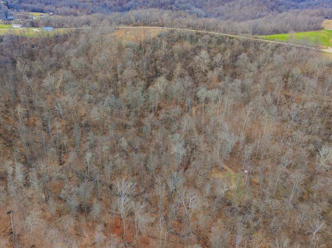 Ohio hunting property with proven deer history and family legacy