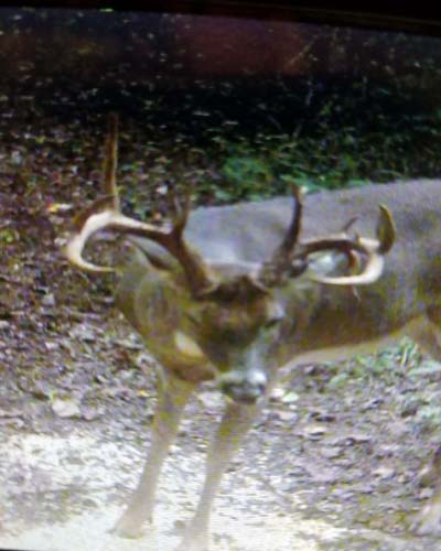 Gallia County Ohio land with rural water and electric nearby