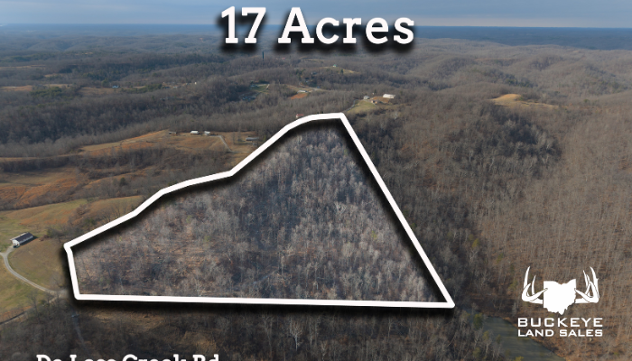 11.3+/- Acres, Pedro, OH 45659