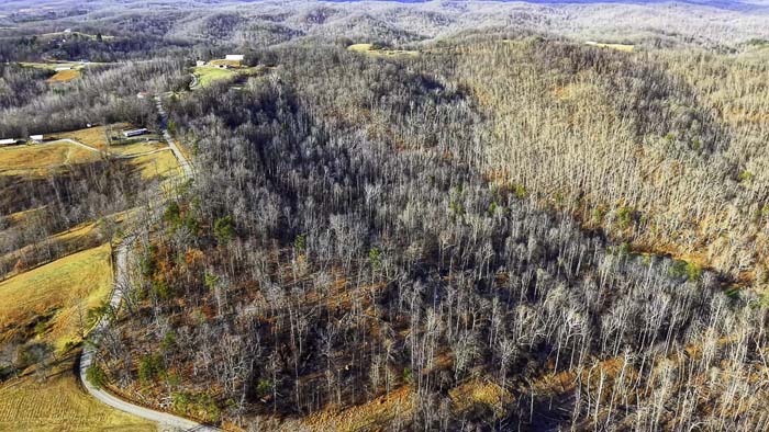 Ohio acreage with open land and rolling terrain
