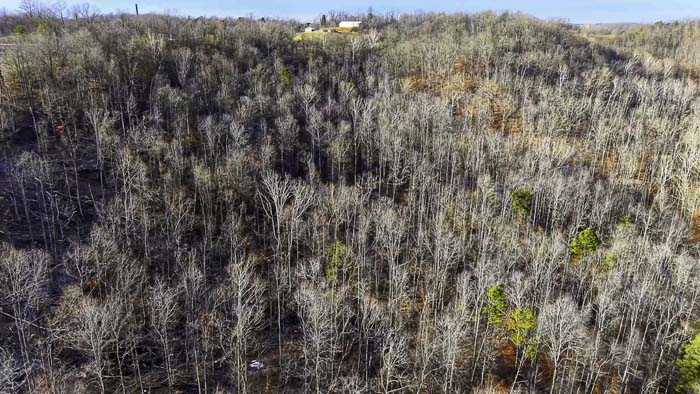 Private acreage with scenic hillside and open space