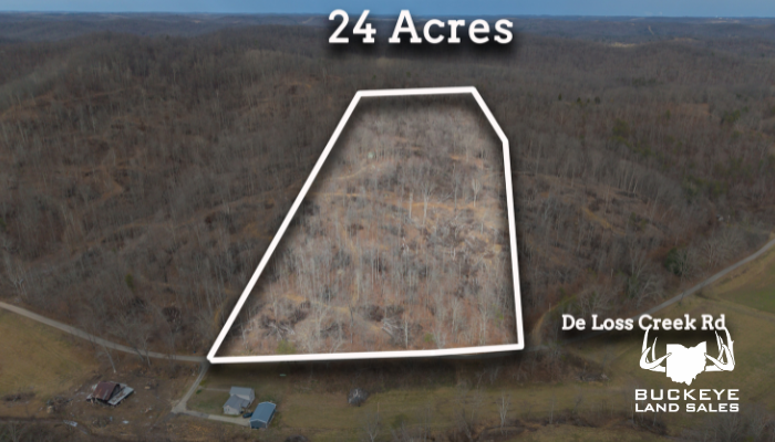 24.3+/- Acres, Pedro, OH 45659