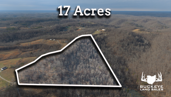 17.4+/- Acres, Pedro, OH 45659