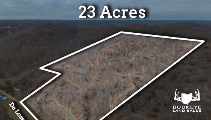 21.3+/- Acres, Pedro, OH 45659