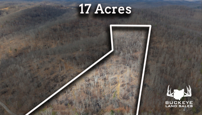 16.6+/- Acres, Pedro, OH 45659