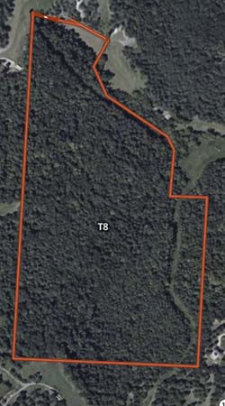 Legacy property ideal for hunting building and stewardship