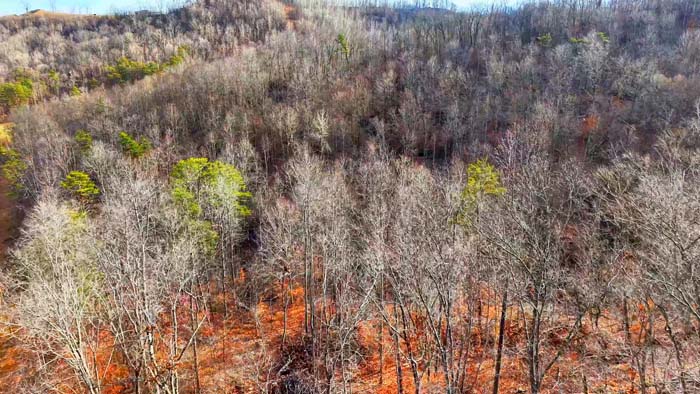 On-site water source on Lawrence County Ohio recreational land