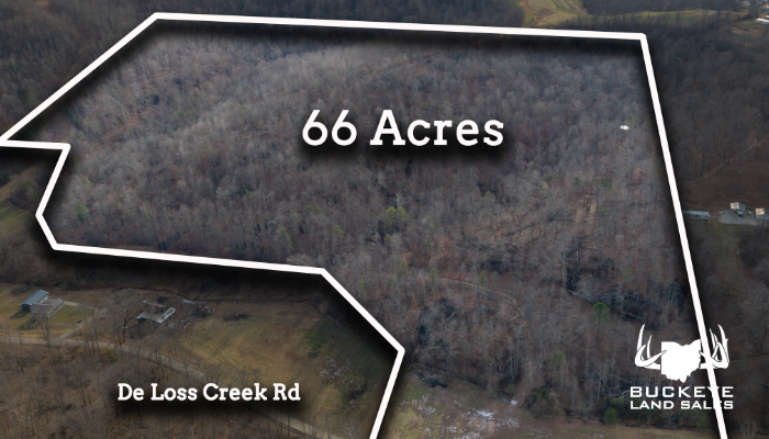 66+/- Acres, Pedro, OH 45659