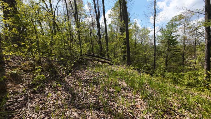 Trail system on 31-acre Ohio hunting tract