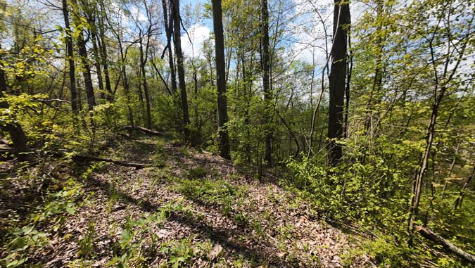 Deer stand on Lew Martin Road hunting land