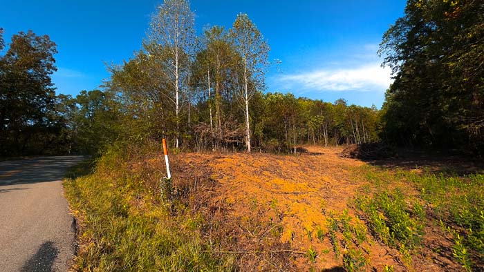 Flat open homesite with road access