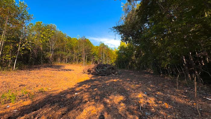 Wooded acreage behind homesite