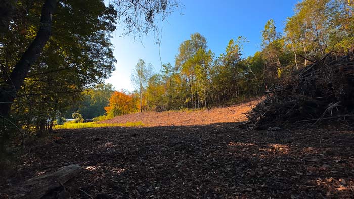 Mature hardwoods on property
