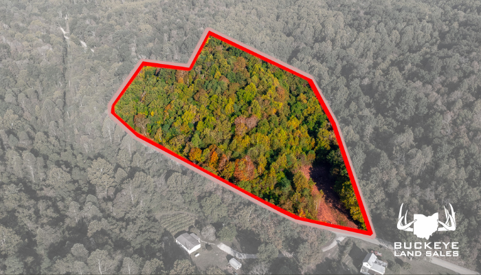 0 Little Bullskin Road, Patriot, OH 45658 9+/- Acres