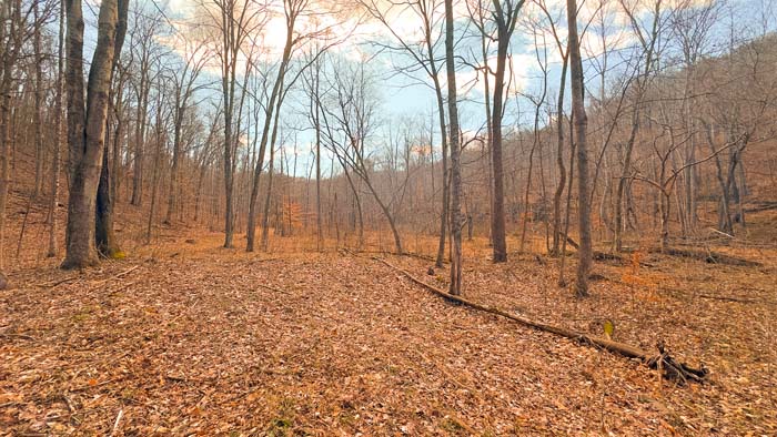 Large southern Ohio hunting tract with wooded hills and diverse terrain