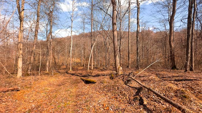 Wooded acreage with secluded draws and habitat diversity