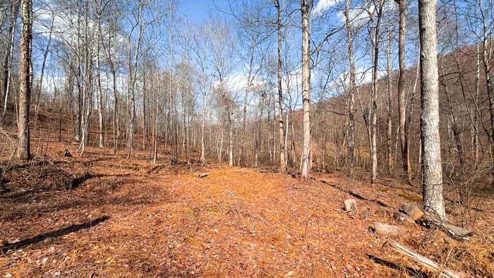 Southern Ohio hunting property with long travel corridors